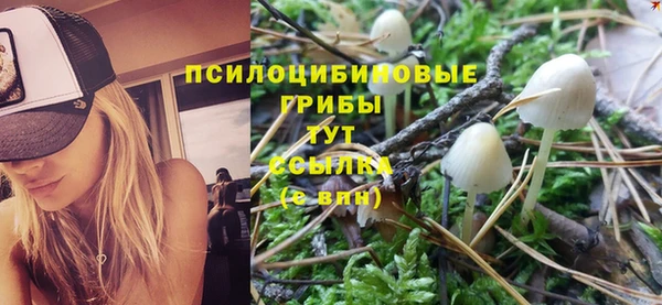 бутират Грязи