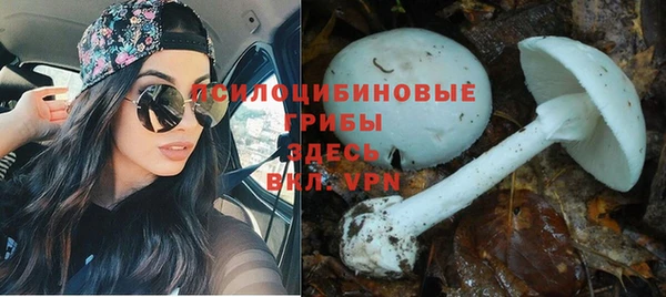 не бодяженный Зерноград
