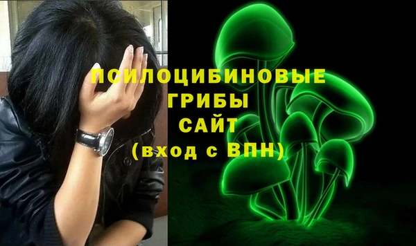 PSILOCYBIN Грязовец